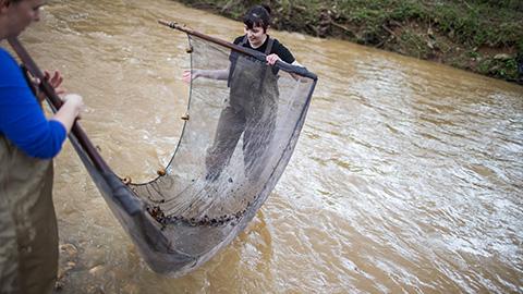 Two members of the biology department go fishing with a net