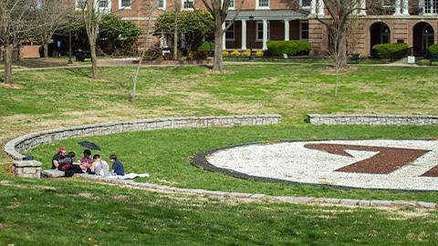 Students sitting around rim of bowl on campus